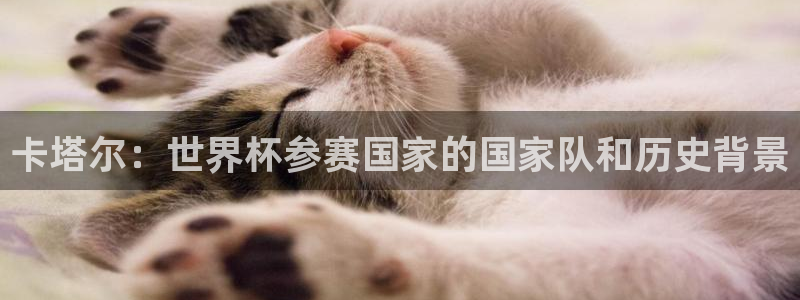 2026世界杯小组赛赛程时间表：卡塔尔：世界杯参赛国家的国家队和历史背景