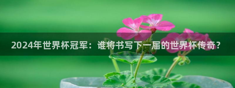 2026葡萄牙杯赛程表：2024年世界杯冠军：谁将书写下一届的世界杯传奇？