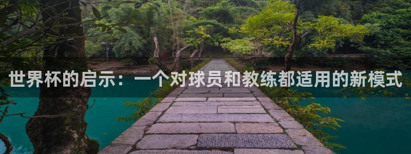 亚洲区世界杯预选赛:世界杯的启示:一个对球员和教练都适用的新模式