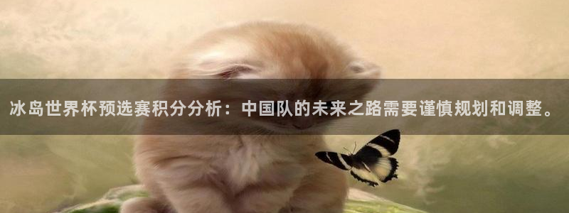 免费足球比赛直播高清：冰岛世界杯预选赛积分分析：中国队的未来之路需要谨慎规划和调整。
