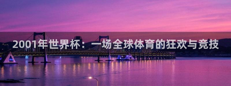 世界杯球赛：2001年世界杯：一场全球体育的狂欢与竞技