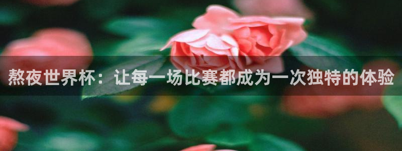 2026世预赛赛程：熬夜世界杯：让每一场比赛都成为一次独特的体验