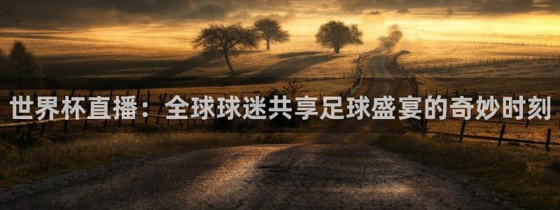 世界杯亚洲区预选赛赛程：世界杯直播：全球球迷共享足球盛宴的奇妙时刻