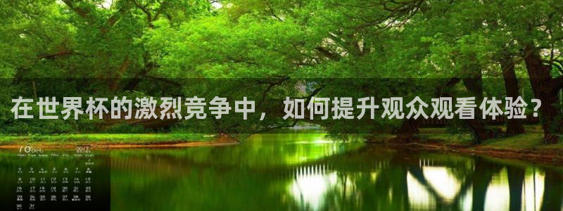 世界杯官网：在世界杯的激烈竞争中，如何提升观众观看体验？