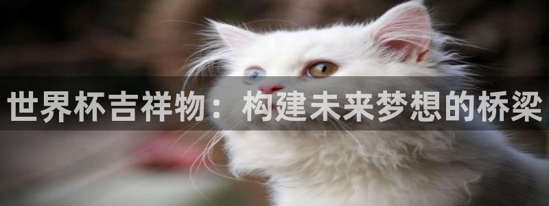 世界杯2026赛程：世界杯吉祥物：构建未来梦想的桥梁