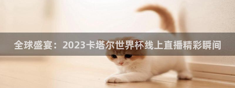 2026世界杯亚洲区预选赛：全球盛宴：2023卡塔尔世界杯线上直播精彩瞬间