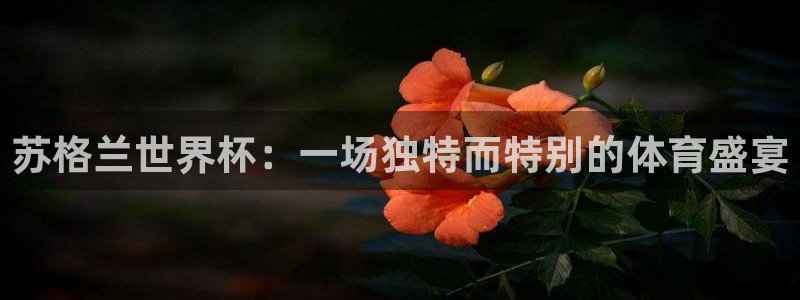 2006世界杯：苏格兰世界杯：一场独特而特别的体育盛宴