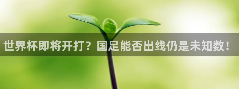 世界杯官网入口：世界杯即将开打？国足能否出线仍是未知数！