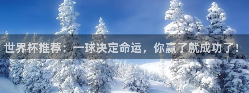 2026世界杯亚洲区预选赛：世界杯推荐：一球决定命运，你赢了就成功了！